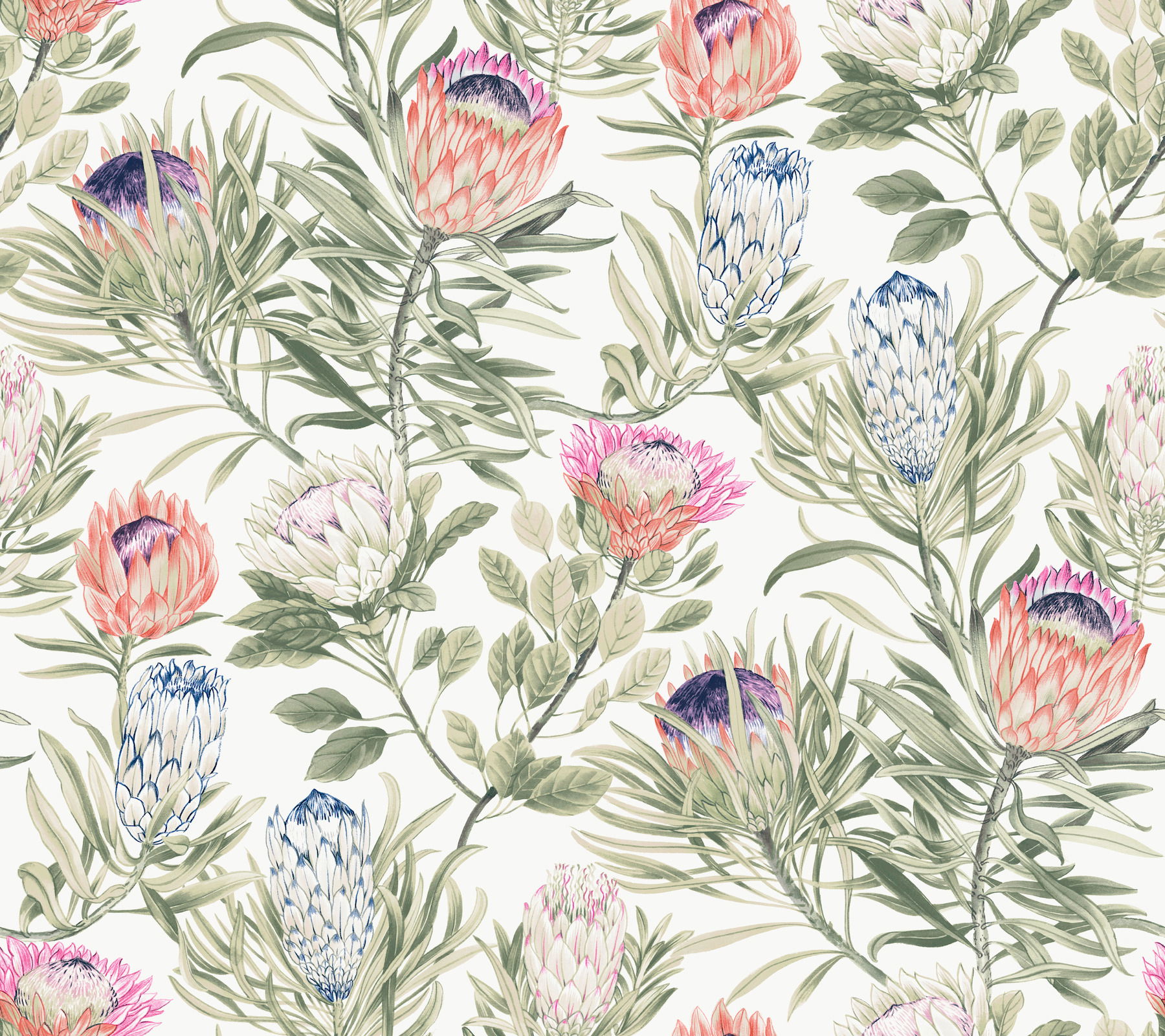 Protea White & Fuchsia Wallpaper large image 