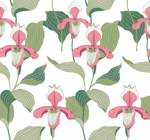 Coral & Green Lady Slipper Wallpaper
