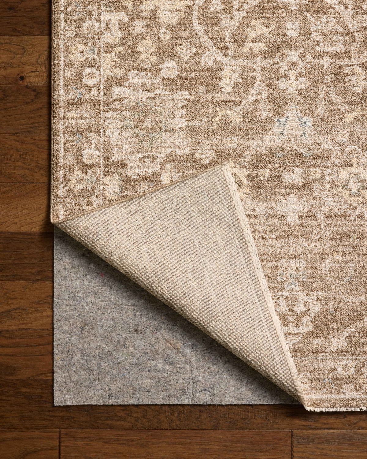 Chris Loves Julia x Loloi Palma Rug, 1'6" length x 1'6" width View 8
