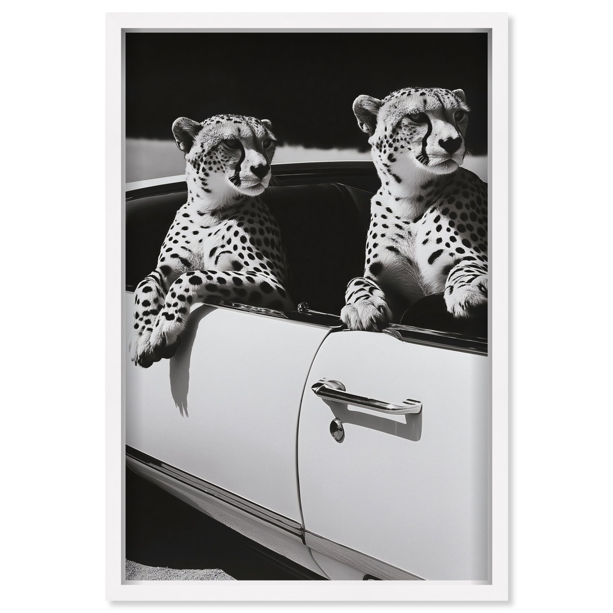 Convertible Feline II (No Embellishment), Art by Oliver Gal,  24x36 View 1