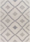 Tuareg Machine Woven Rug thumbnail 0