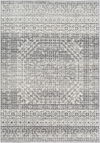 Harput Machine Woven Rug thumbnail 0