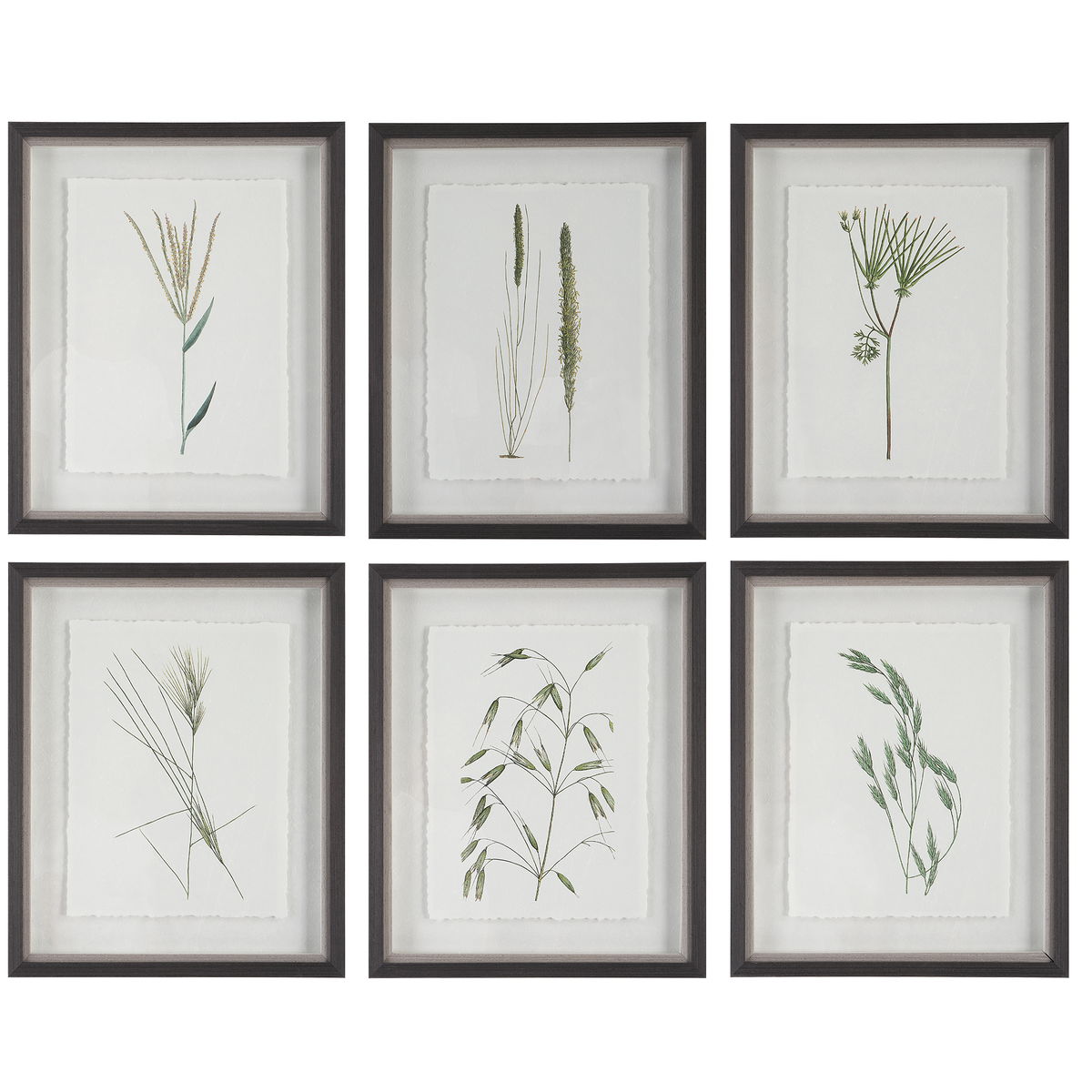 Forest Finds Framed Prints Set/6, Art by Uttermost, 18" width x 22" height x 1.75" depth View 1