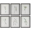 Forest Finds Framed Prints Set/6, Art by Uttermost, 18" width x 22" height x 1.75" depth thumbnail 1