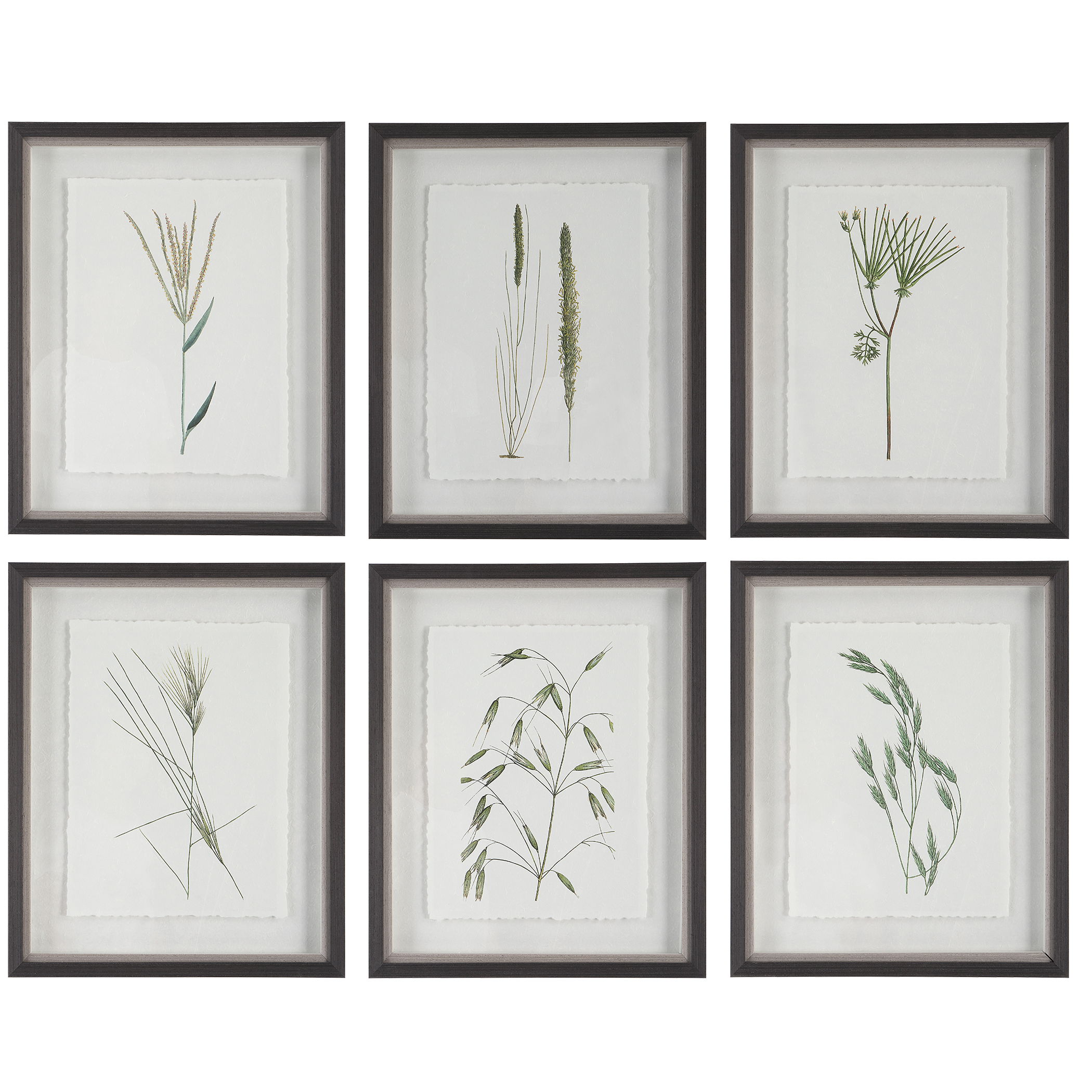 Forest Finds Framed Prints Set/6, Painting by Uttermost, 18" width x 22" height x 1.75" depth View 1