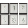 Forest Finds Framed Prints Set/6, Painting by Uttermost, 18" width x 22" height x 1.75" depth thumbnail 1