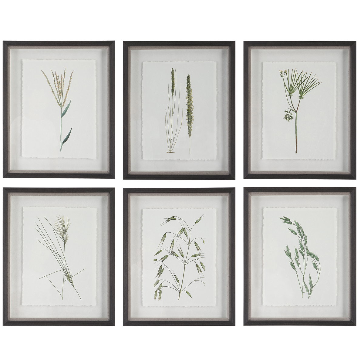 Forest Finds Framed Prints Set/6, by Uttermost, 1'6" width x 1'10" height x 1.75" depth View 1