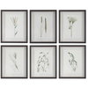 Forest Finds Framed Prints Set/6, by Uttermost, 1'6" width x 1'10" height x 1.75" depth thumbnail 1