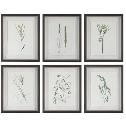 Forest Finds Framed Prints Set/6