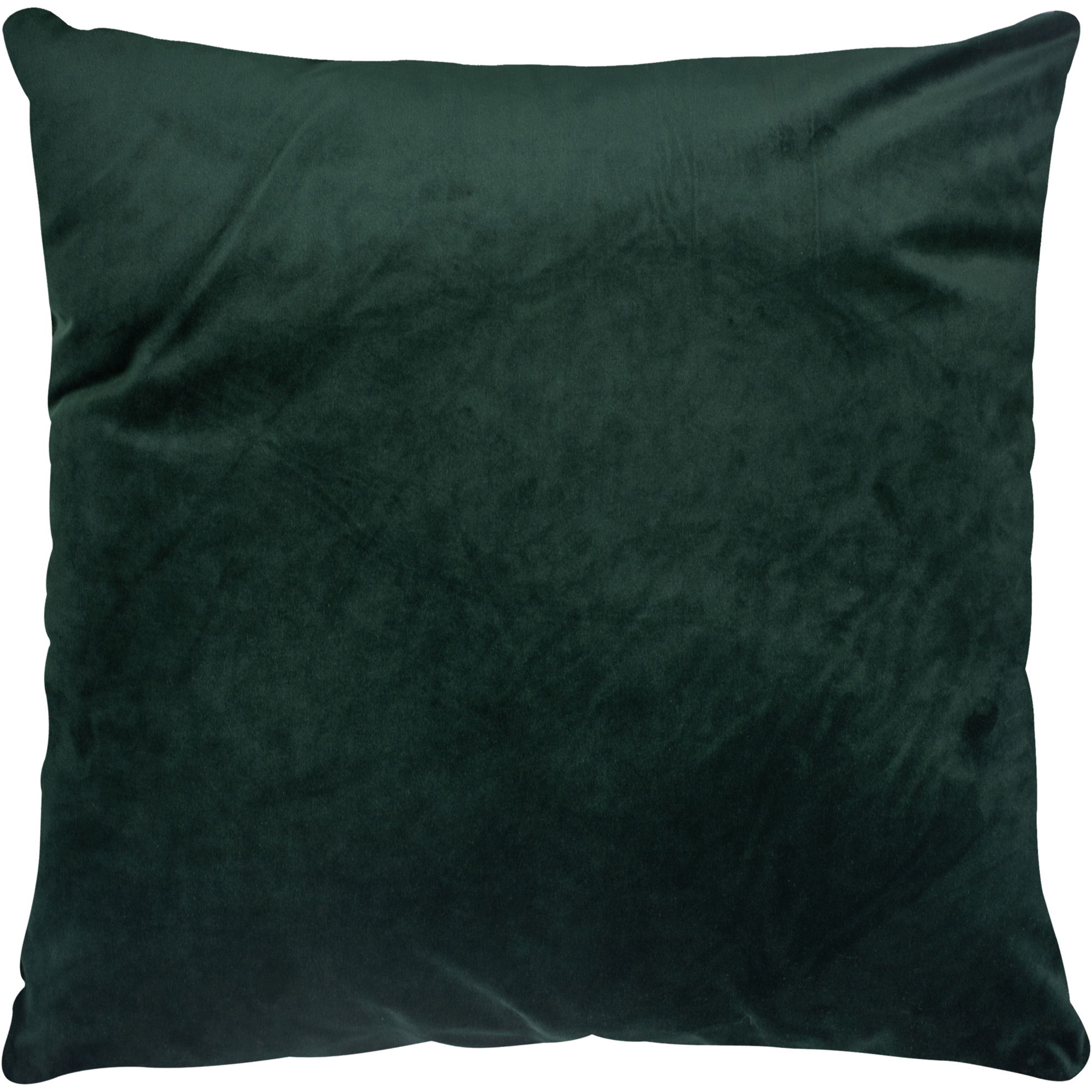 Olive Indoor Pillow, Decorative Pillow by Renwil, 20" height x 3" depth View 1