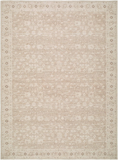 Asha Machine Woven Rug