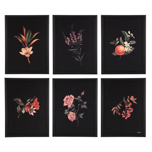 Wallflower Wall Art