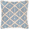 Nacka Accent Pillow, Decorative Pillow by Surya, 22" length x 22" width thumbnail