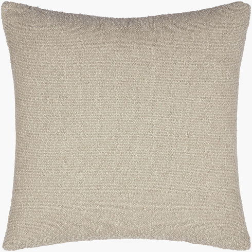 Eesha Accent Pillow