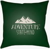 Adventure III Accent Pillow, Decorative Pillow by Surya, 18" length x 18" width thumbnail