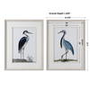 Shore Birds Framed Prints Set/2, Art by Uttermost, 32.62" width x 42.5" height x 1.62" depth thumbnail 3