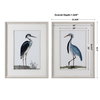 Shore Birds Framed Prints Set/2, by Uttermost, 2'8.62" width x 3'6.5" height x 1.62" depth thumbnail 3