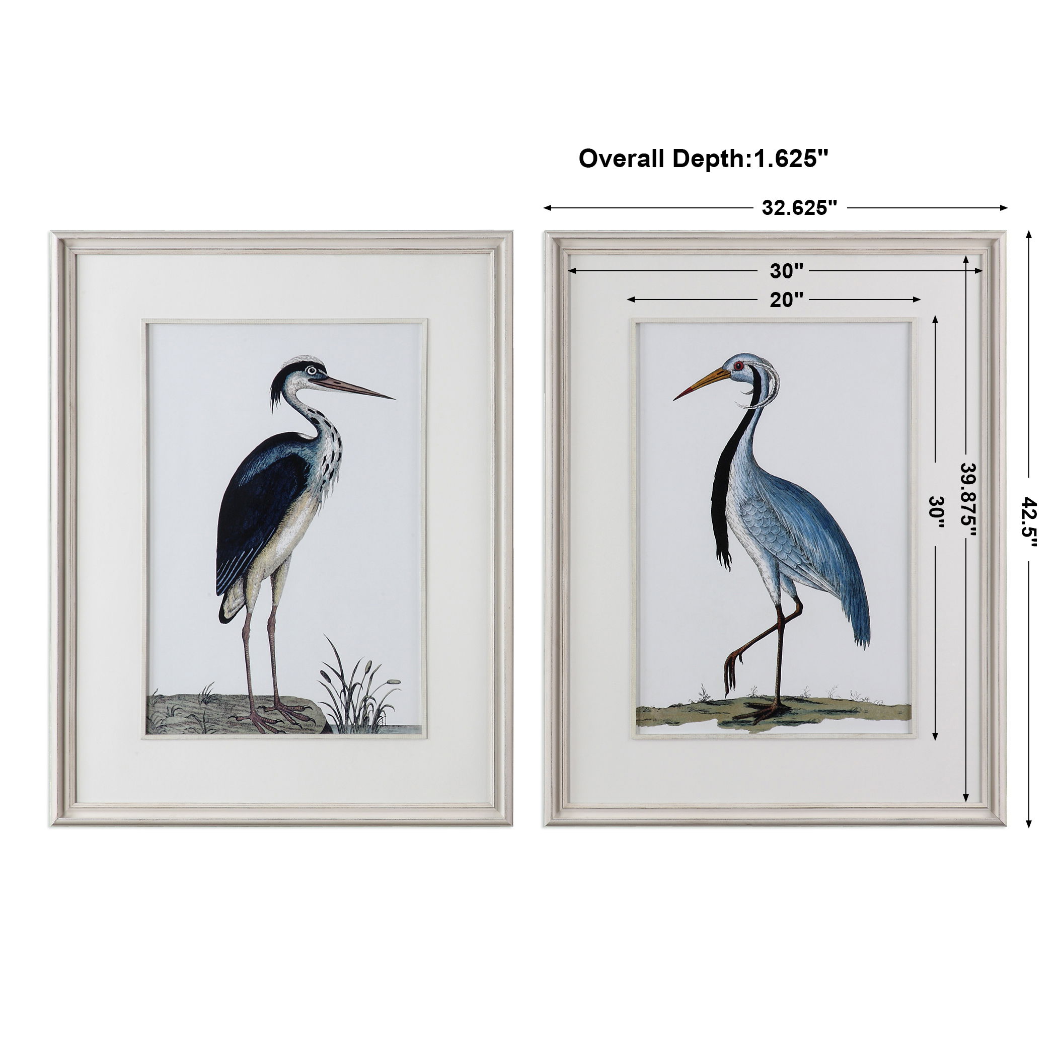 Shore Birds Framed Prints Set/2 large image 