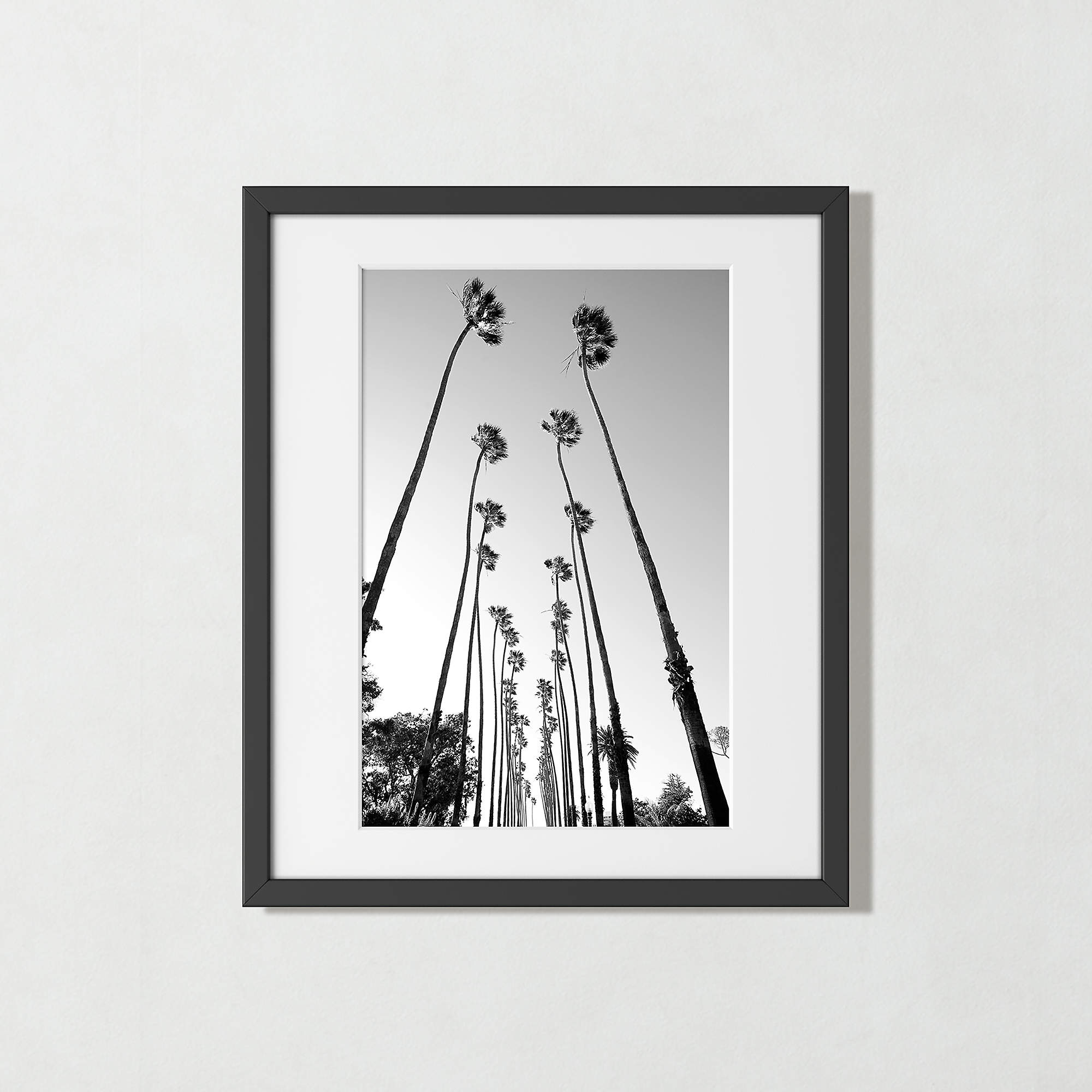 Online Designer Home Office 'Palm Trees Road' Photographic Print in Black Frame 21.5"x25.5"