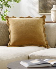 Online Designer Living Room Effervescent Pillow with Insert