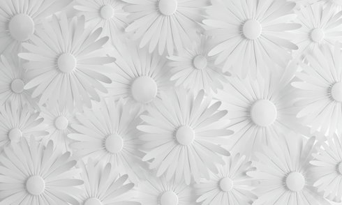 Modern Daisy Peel & Stick Wall Mural