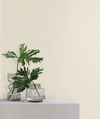 Give & Take Light Beige Wallpaper thumbnail 1