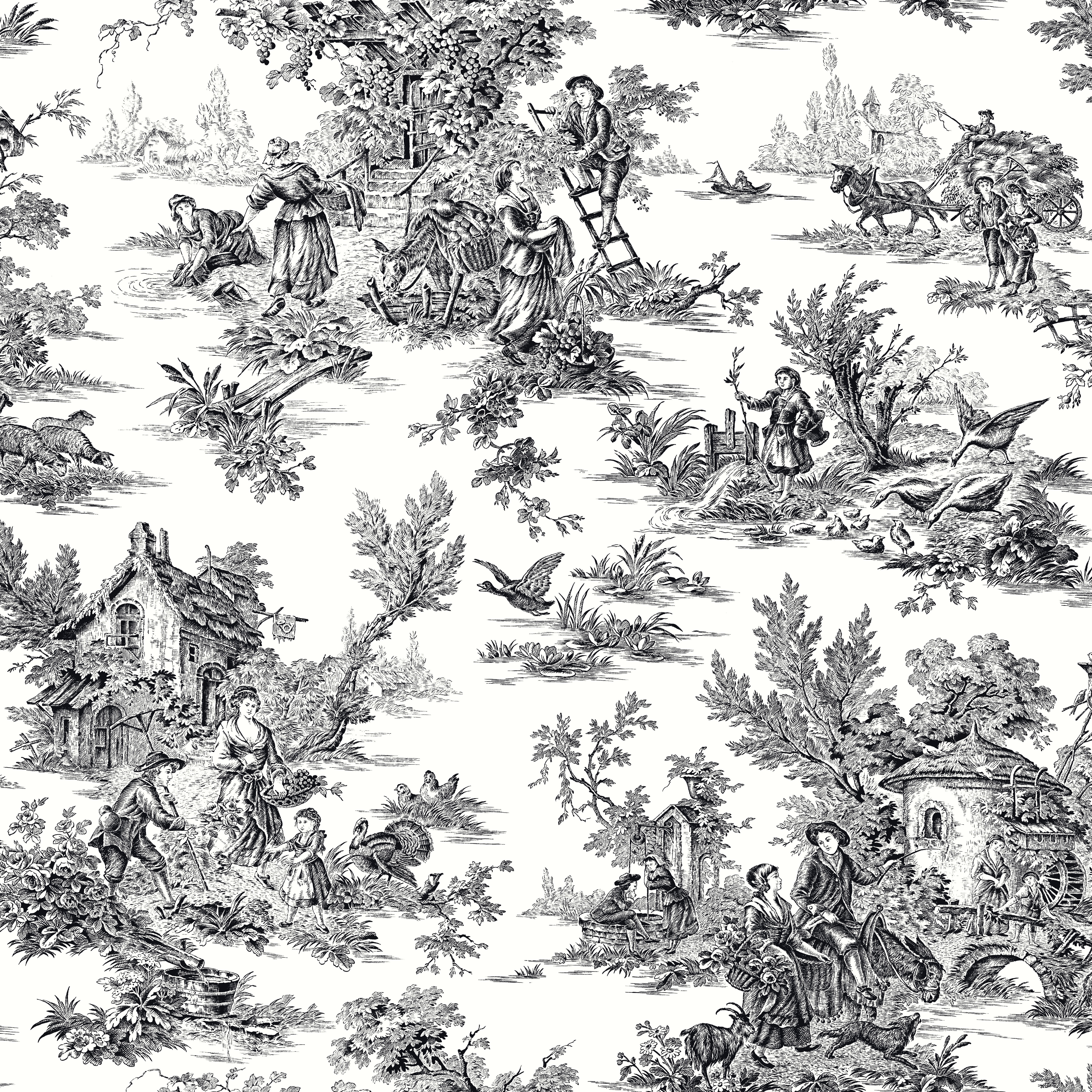 Campagne Toile Black & White Wallpaper, by York Wall, 33' length x 1'8.5" width x 0.02" depth View 1