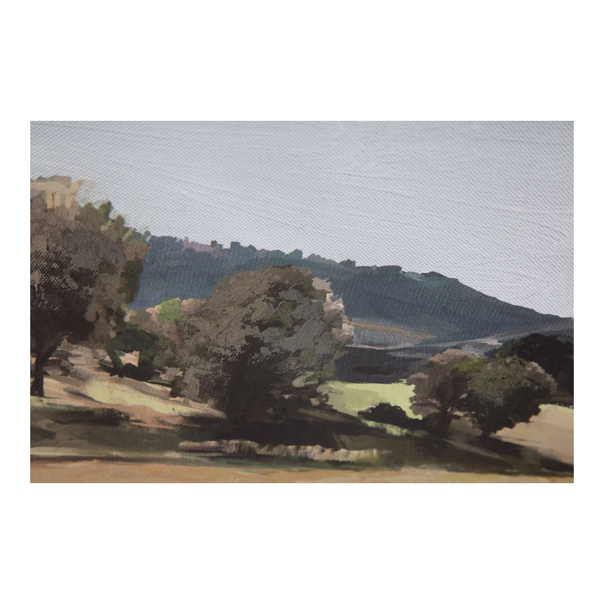 Vast Country Framed Painting large image 