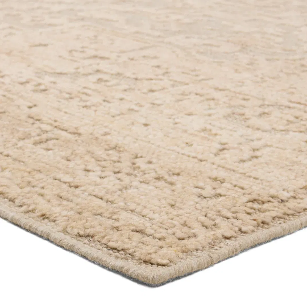 Jaipur Living Pranhita APS01 Handknotted Medallion Tan and Cream Area Rug (9'x12') large image 
