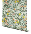 Citrus Grove Mint Peel & Stick Wallpaper thumbnail 2