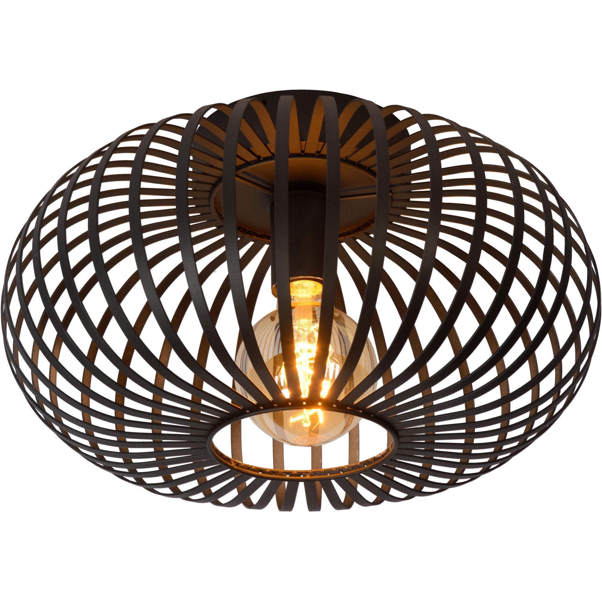 Ivy Ceiling Fixture large image 
