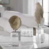 Oyster Shell Sculptures Set/2, Figurines & Statue by Uttermost, 5.25" width x 15.25" height x 3.12" depth thumbnail 2