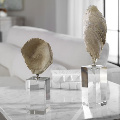 Oyster Shell Sculptures Set/2