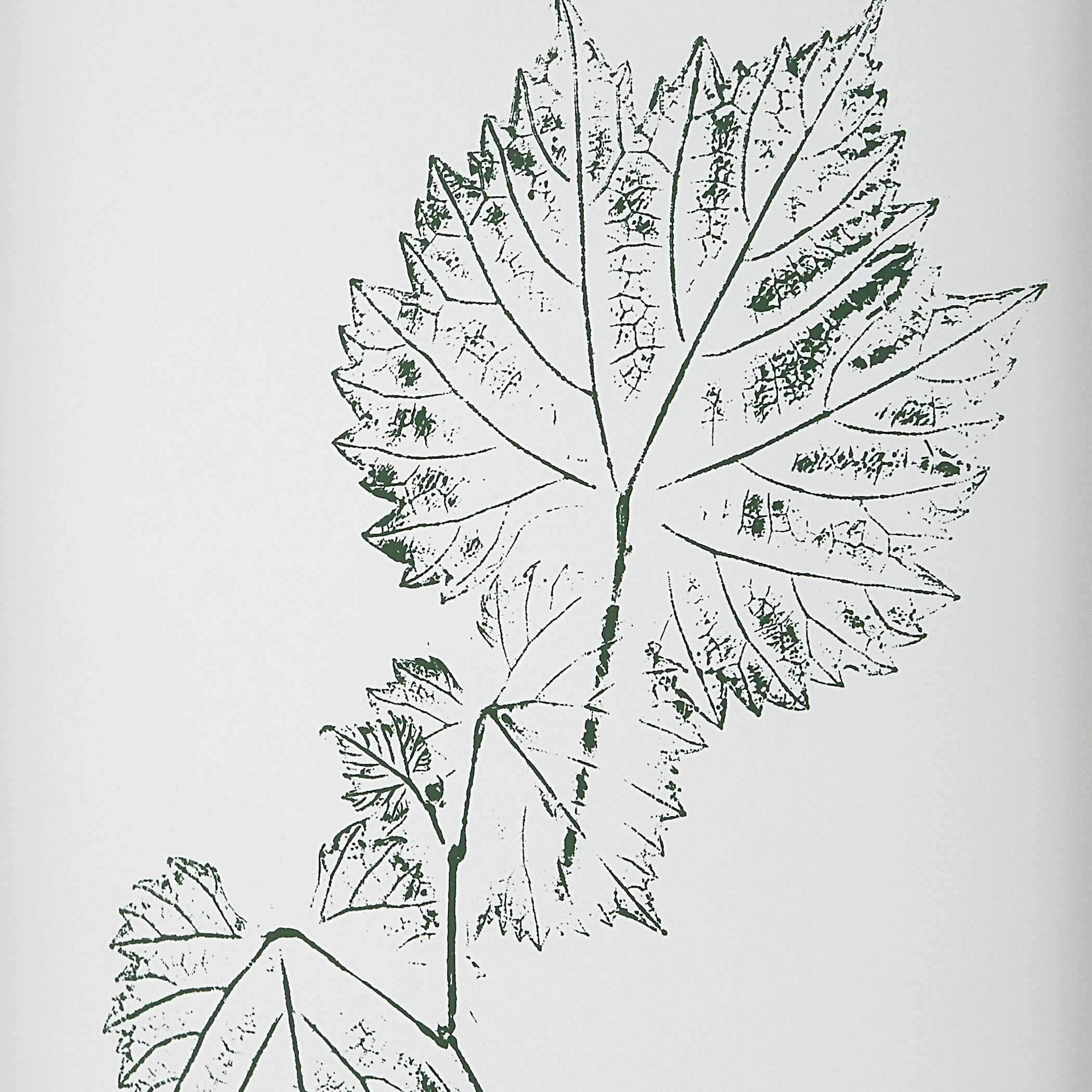 Nature's Script Framed Botanical Prints Set/9 large image 