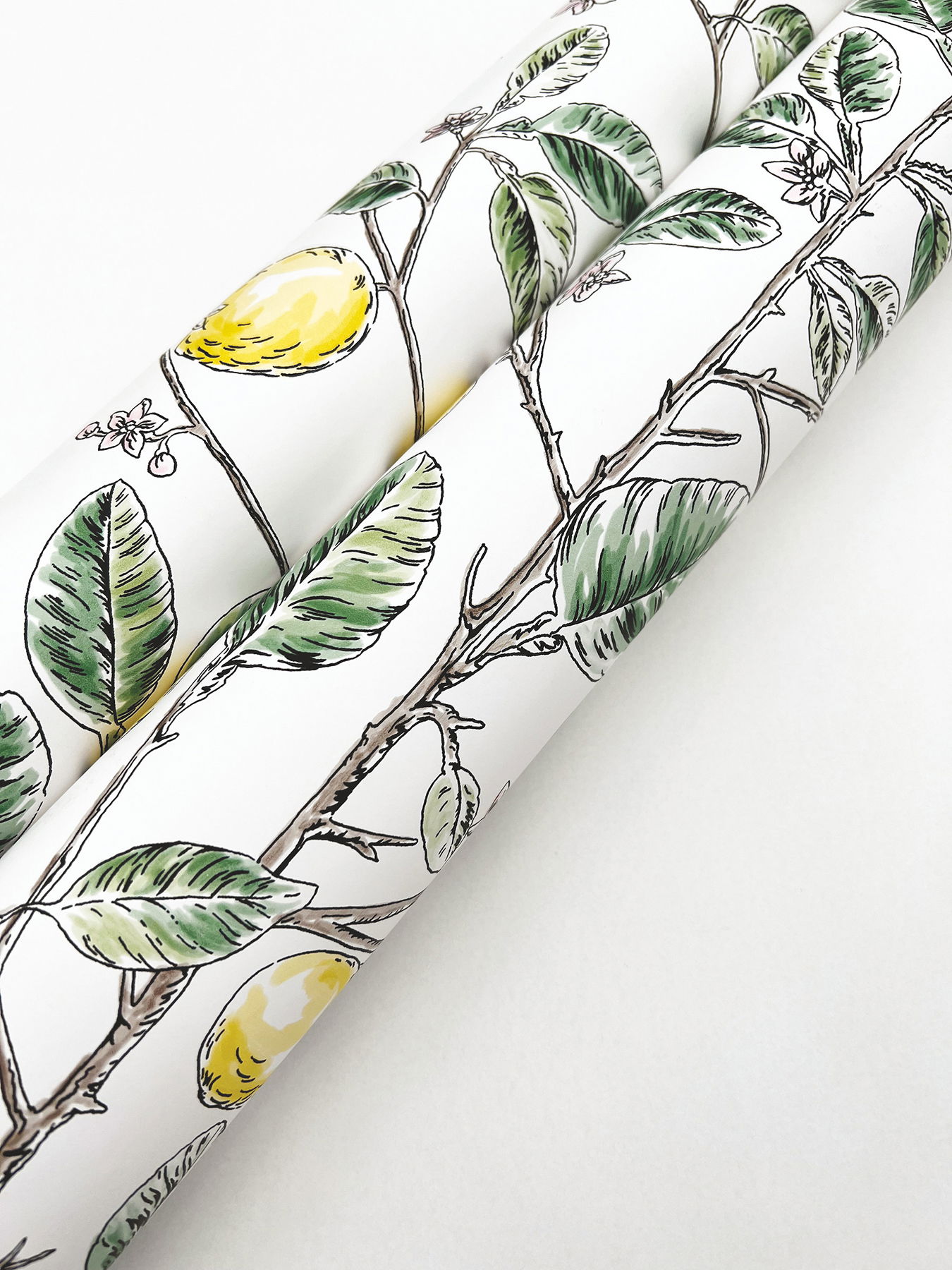 Limoncello Toile Green Wallpaper large image 