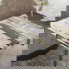 Rowman Petrified Wood Accent Table thumbnail 8