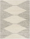Taza Shag Machine Woven Rug, by Surya, 9'0.27" length x 6'6.74" width thumbnail
