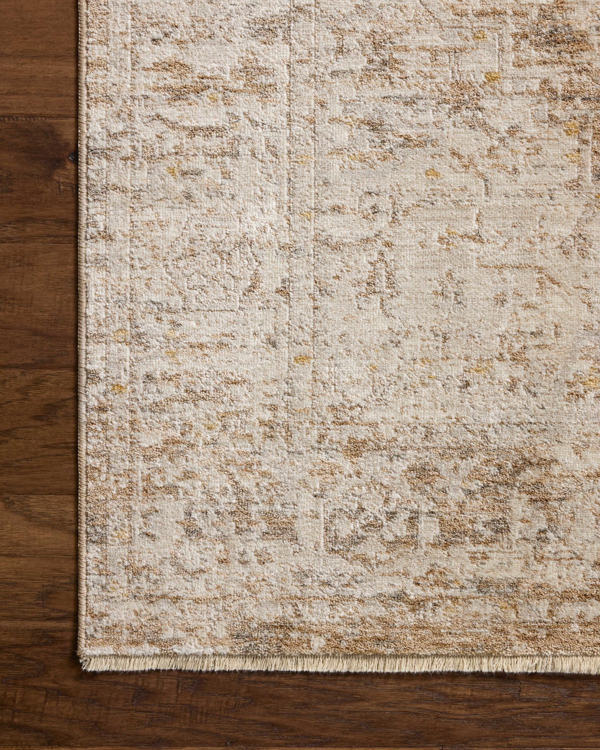 Loloi Clarisse Rug, 1'6" length x 1'6" width View 4