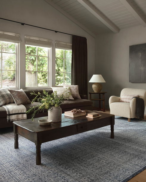 Amber Lewis x Loloi Zuma Rug