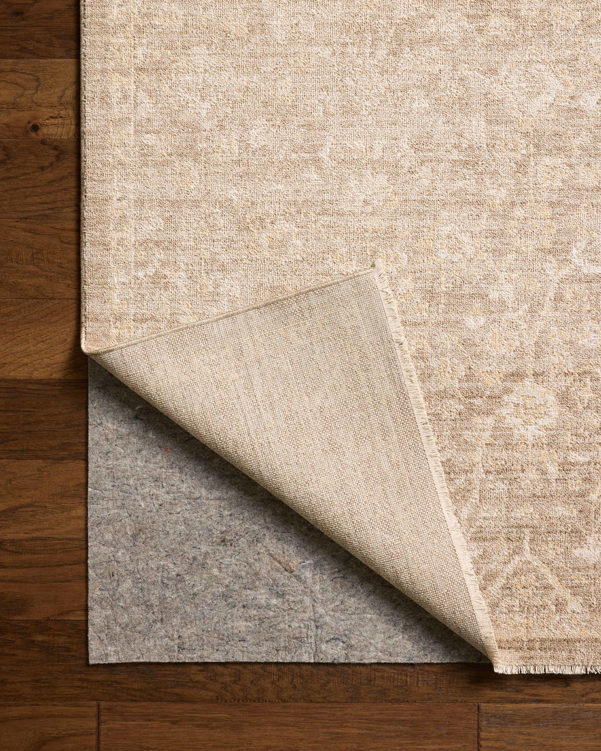 Chris Loves Julia x Loloi Palma Rug, 5'3" length x 7'6" width View 7