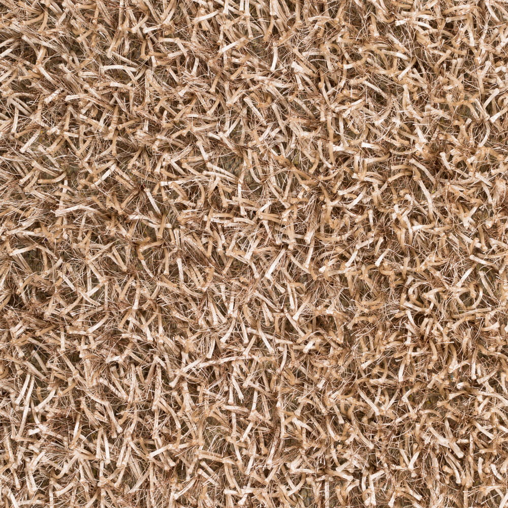 Taz Handmade Rug, by Surya, 1'6" length x 1'6" width