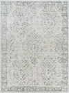 Calhoun Machine Woven Rug, by Surya, 10'5.98" length x 7'10.49" width thumbnail