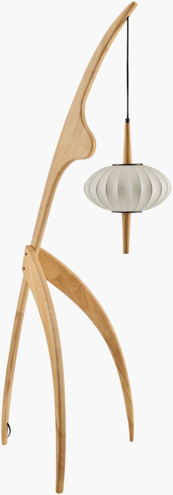Niamey Accent Floor Lamp large image 