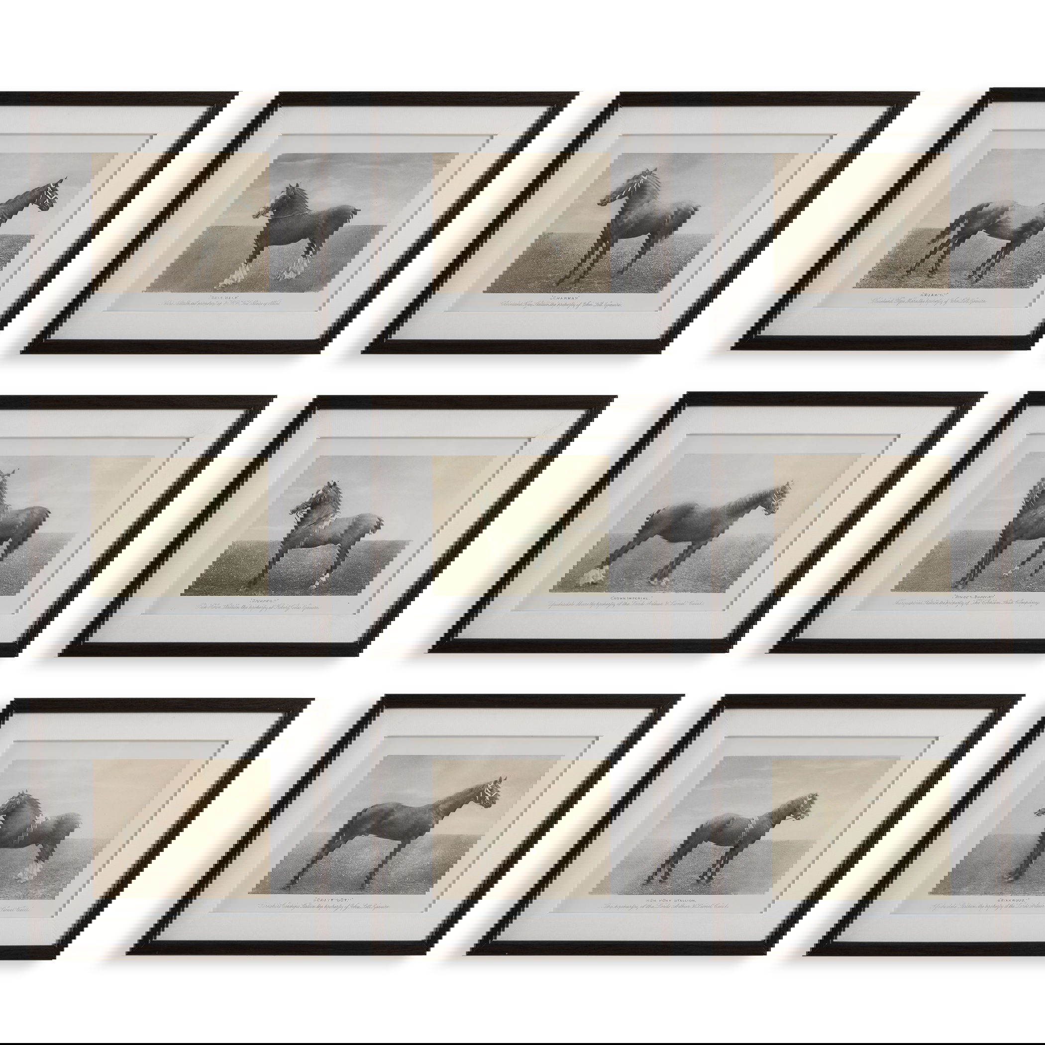 Equine Dynasty Framed Prints, S/9 large image 