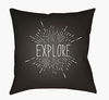 Explore II Accent Pillow, Decorative Pillow by Surya, 18" length x 18" width thumbnail