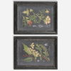 Midnight Botanicals Wall Art S/2 thumbnail 0
