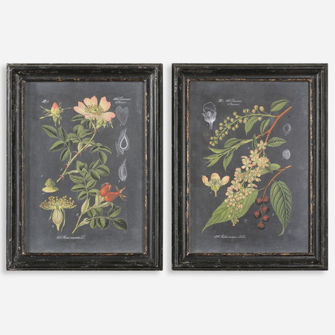 Midnight Botanicals Wall Art S/2
