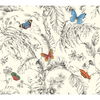 Papillon Primary Wallpaper thumbnail 0