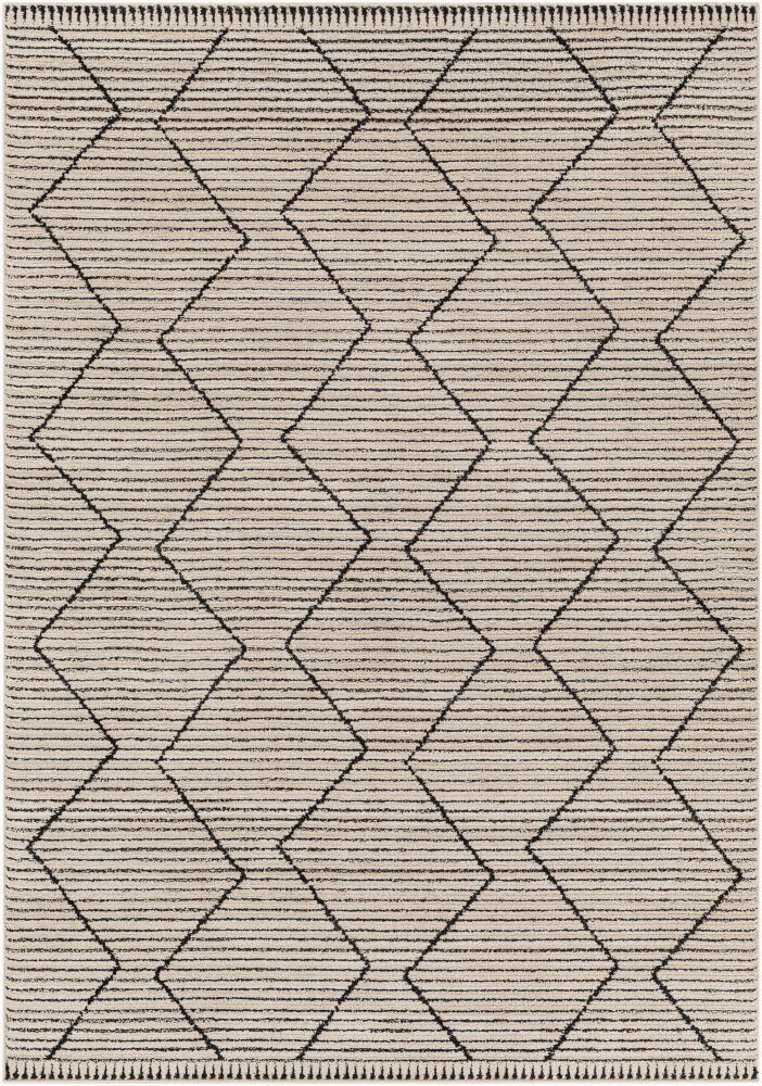 Cozy Machine Woven Rug large image 