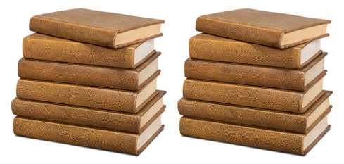 Shagreen Books Set Of 12 Tawny Brown